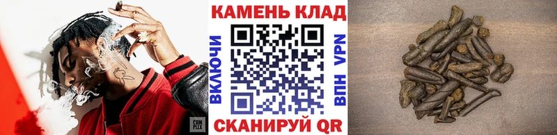 мориарти клад  купить наркоту  Николаевск  Гашиш hashish 