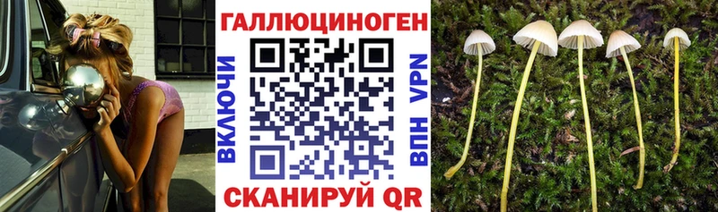 blacksprut зеркало  дарнет шоп  Николаевск  Галлюциногенные грибы GOLDEN TEACHER 
